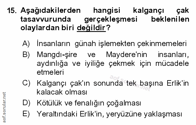 Soru 15