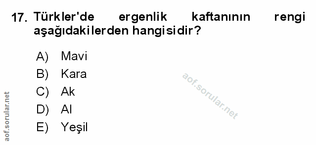 Soru 17