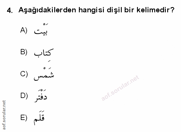 Soru 4