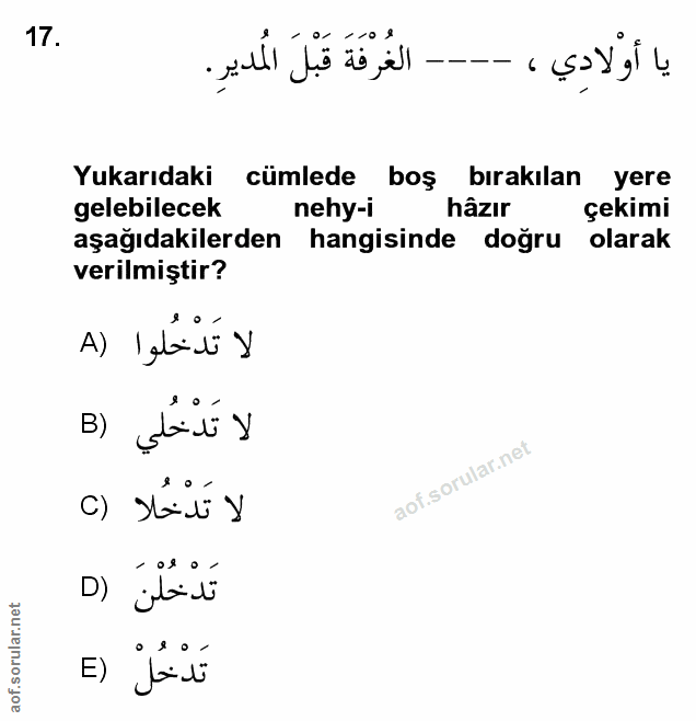 Soru 17
