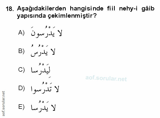 Soru 18