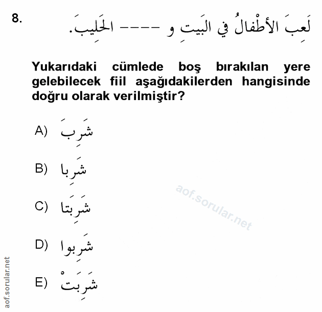 Soru 8