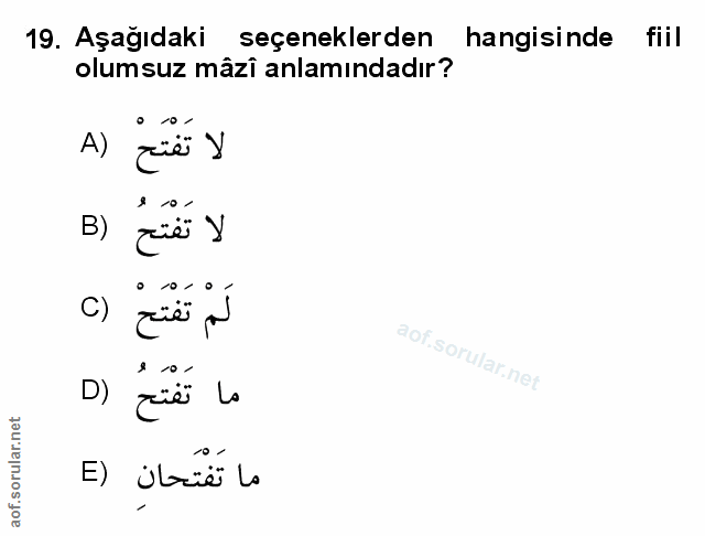 Soru 19