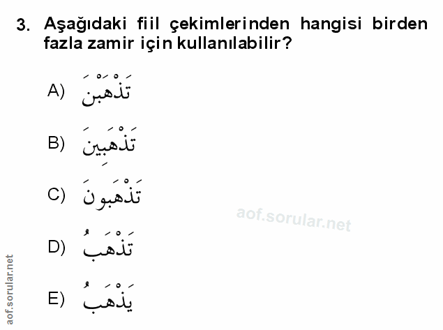 Soru 3