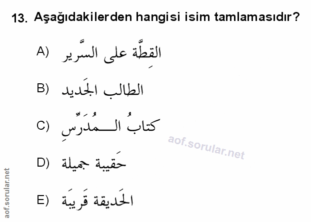 Soru 13