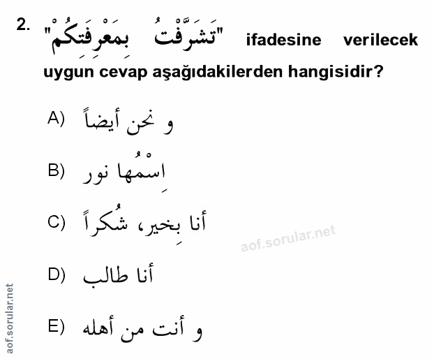 Soru 2