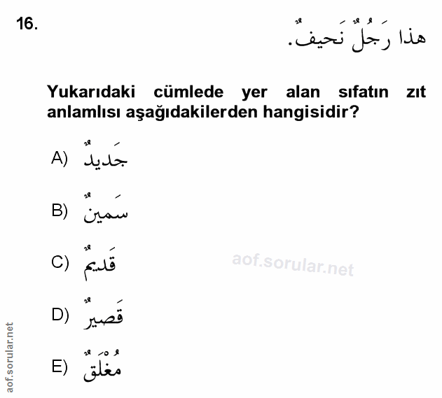 Soru 16