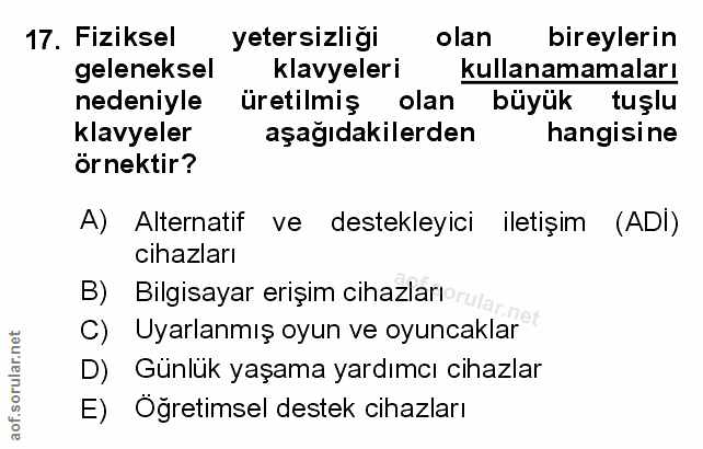 Soru 17