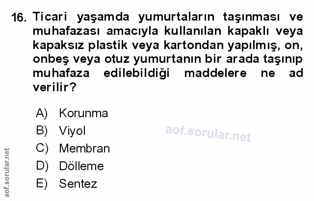 Soru 16