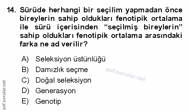 Soru 14