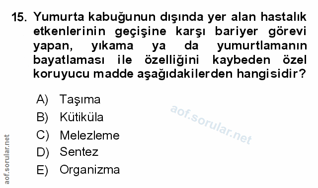 Soru 15