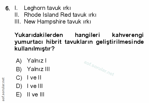 Soru 6