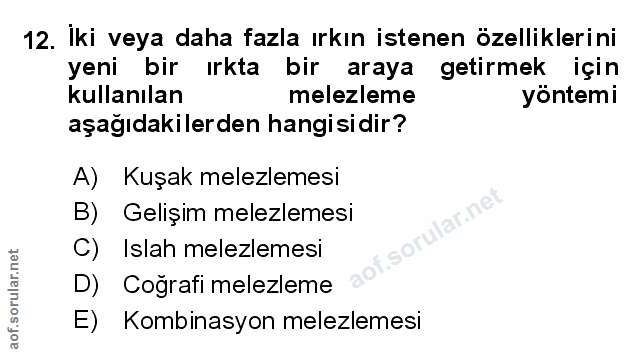 Soru 12