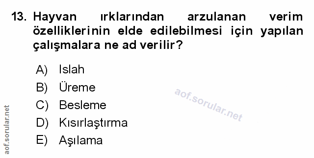 Soru 13