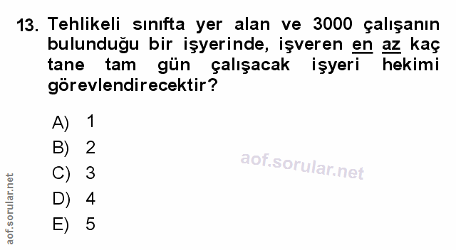 Soru 13