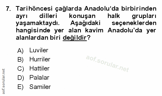 Soru 7