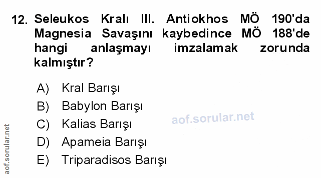 Soru 12