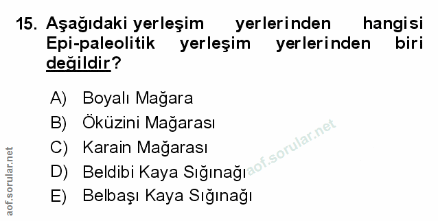 Soru 15