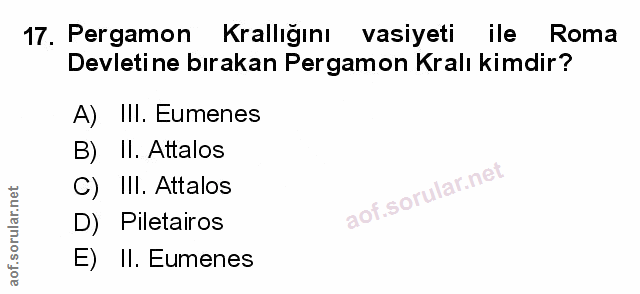 Soru 17
