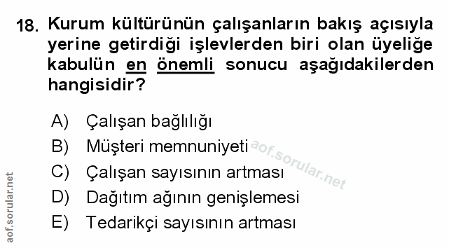 Soru 18