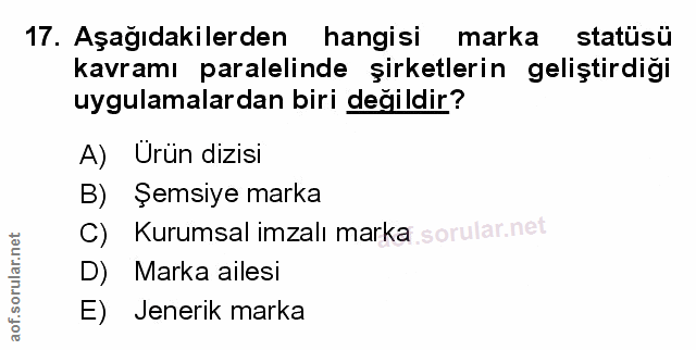 Soru 17