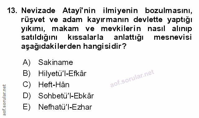 Soru 13