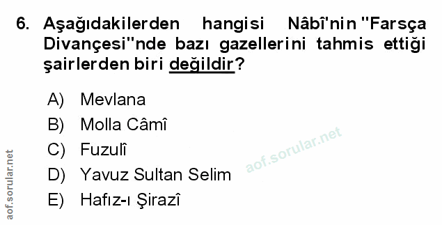Soru 6