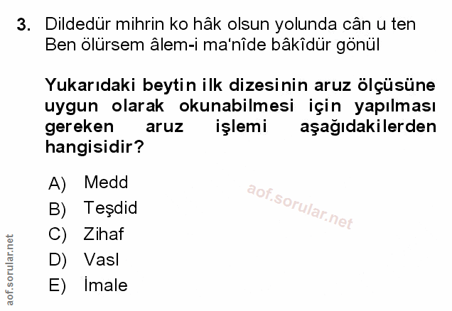 Soru 3