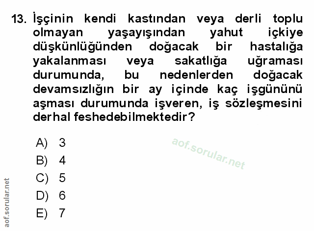 Soru 13