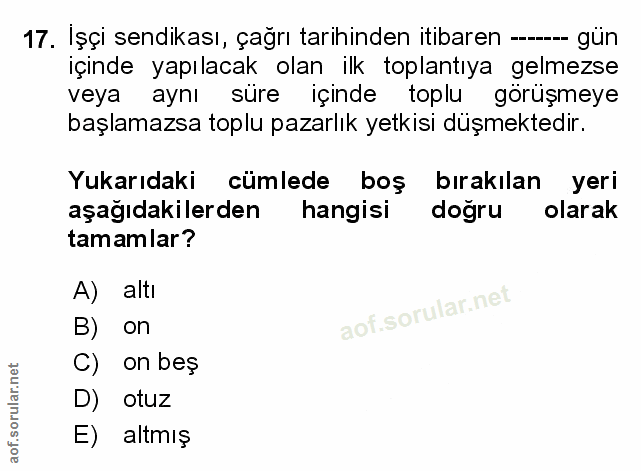 Soru 17