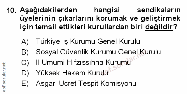 Soru 10