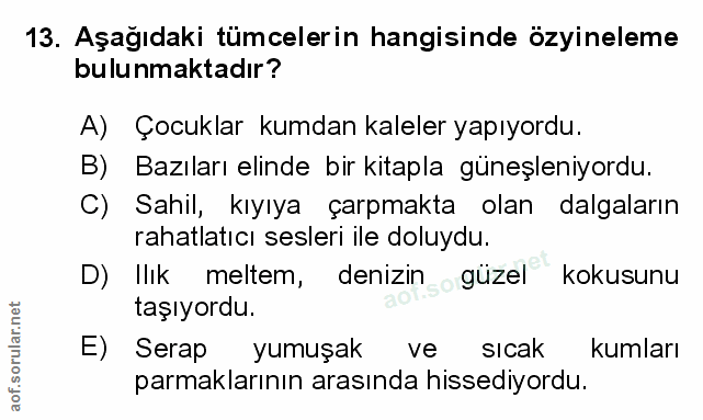 Soru 13