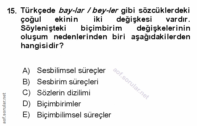 Soru 15