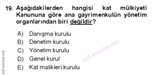 Soru 19