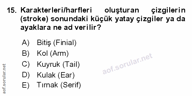 Soru 15