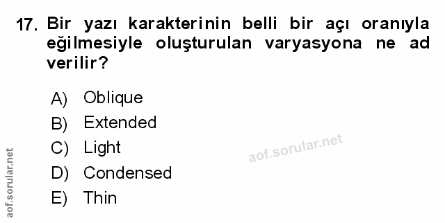 Soru 17