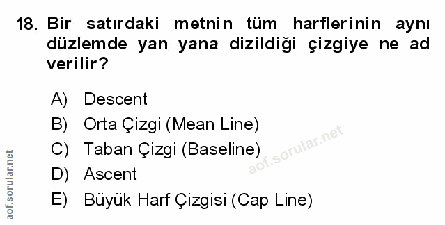 Soru 18