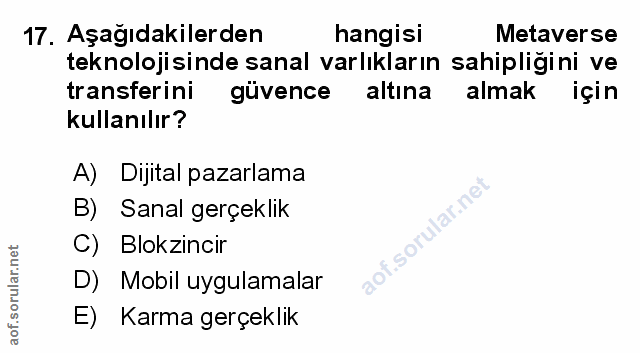 Soru 17