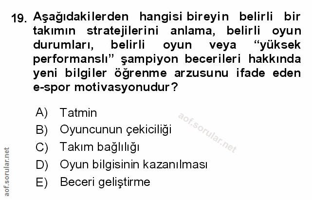 Soru 19