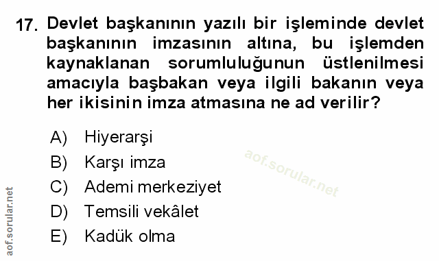 Soru 17