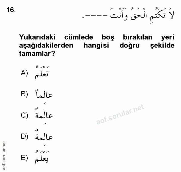 Soru 16