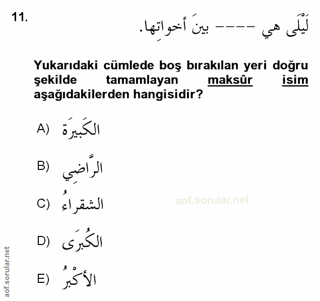 Soru 11