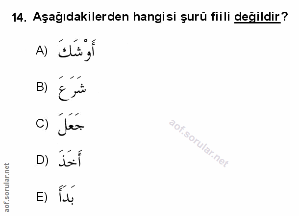 Soru 14