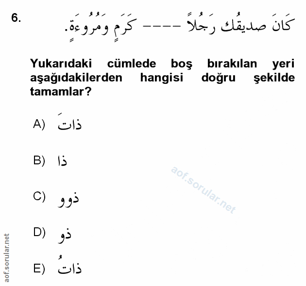 Soru 6