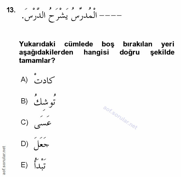 Soru 13