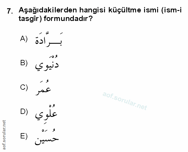 Soru 7