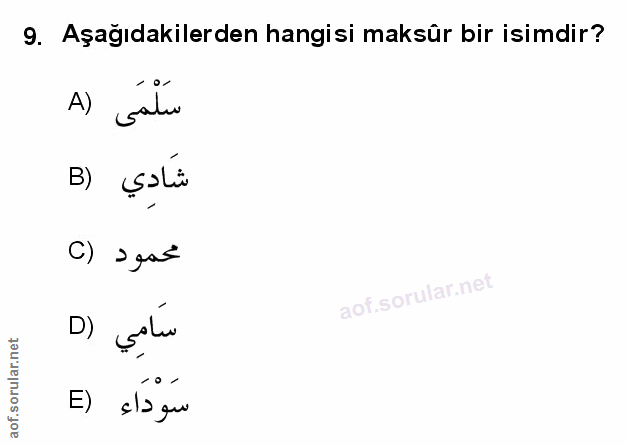 Soru 9