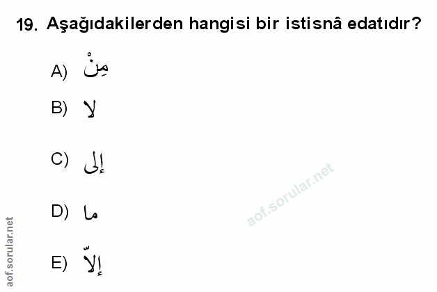 Soru 19