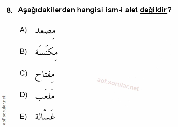 Soru 8