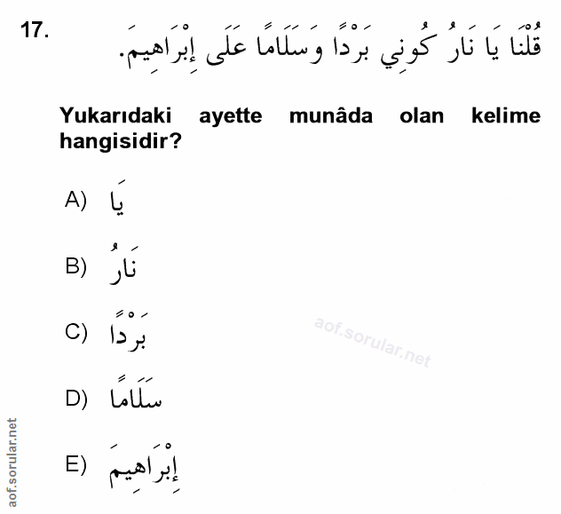 Soru 17